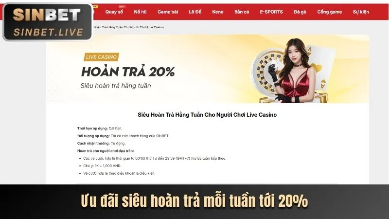 Đồ họa 3D sống động